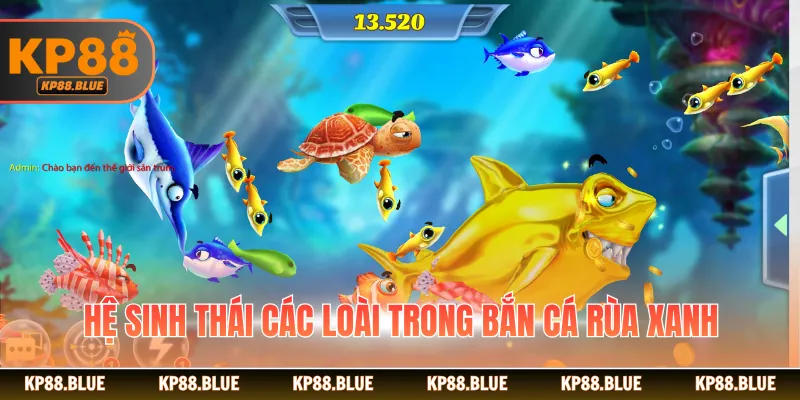 Hệ sinh thái các loài trong bắn cá rùa xanh