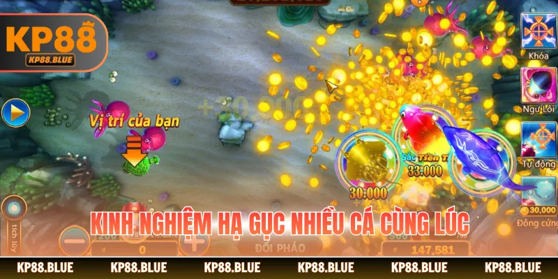 Kinh nghiệm hạ gục nhiều cá cùng lúc