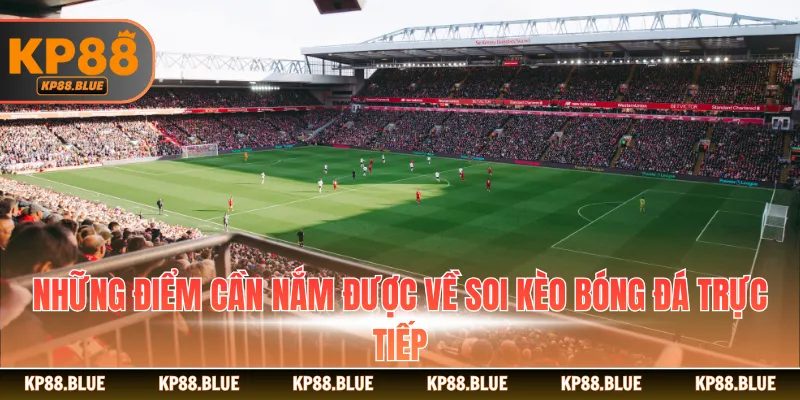 Những điểm cần nắm được về soi kèo bóng đá trực tiếp